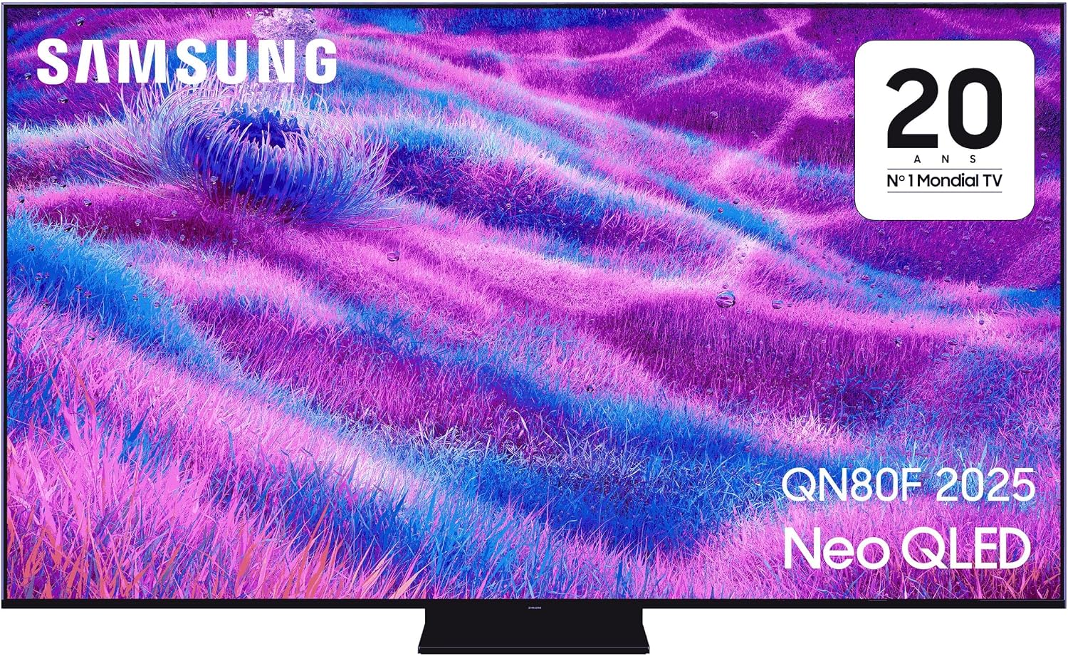 TV Samsung Neo QLED Mini-LED QN80F 55 pouces 4K